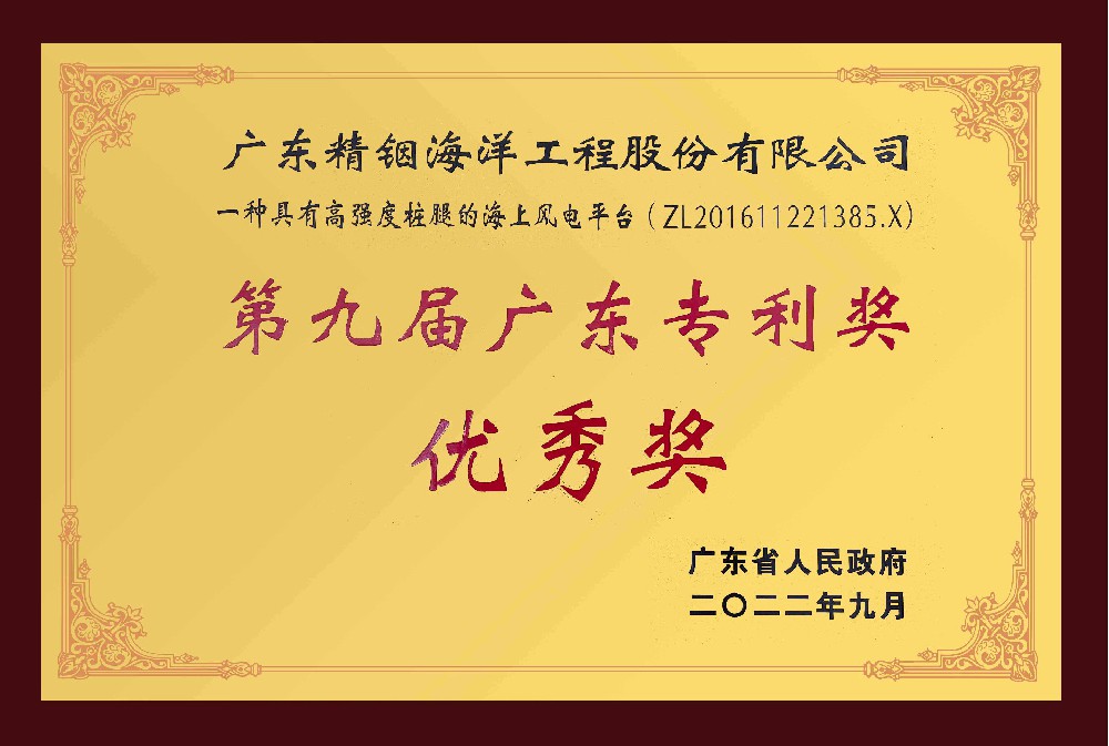 第九屆廣東專利優(yōu)秀獎