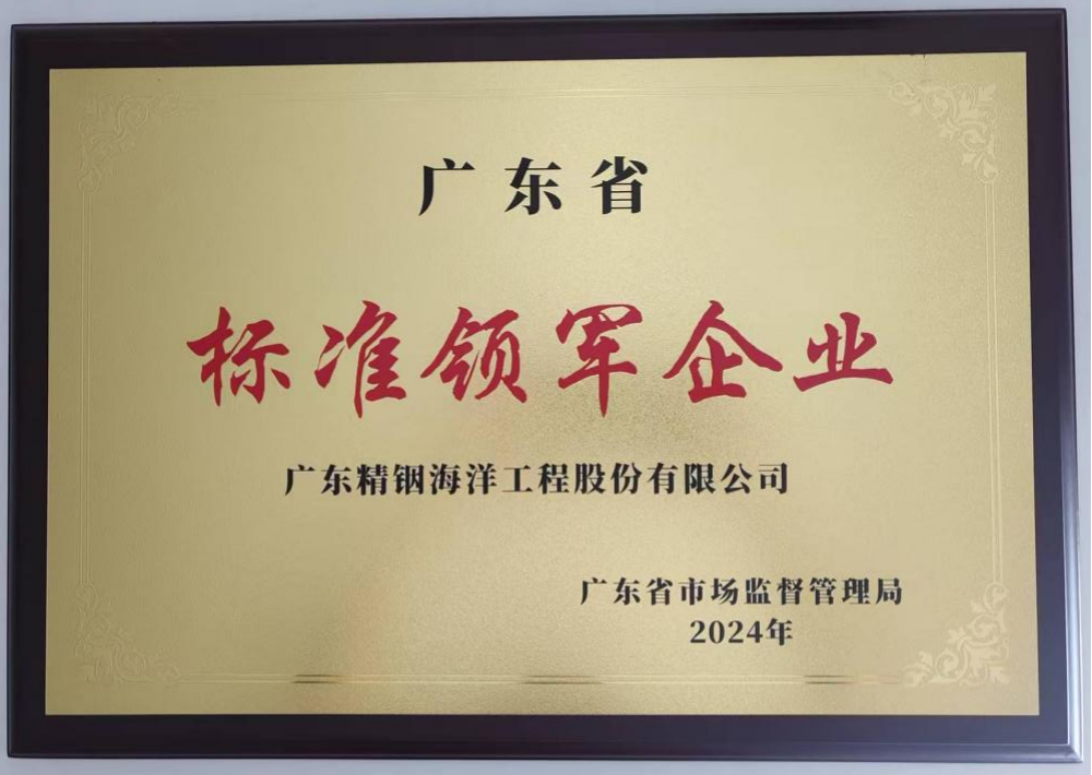 全省首批！精銦海工獲評(píng)“廣東省標(biāo)準(zhǔn)領(lǐng)軍企業(yè)”榮譽(yù)稱號(hào)